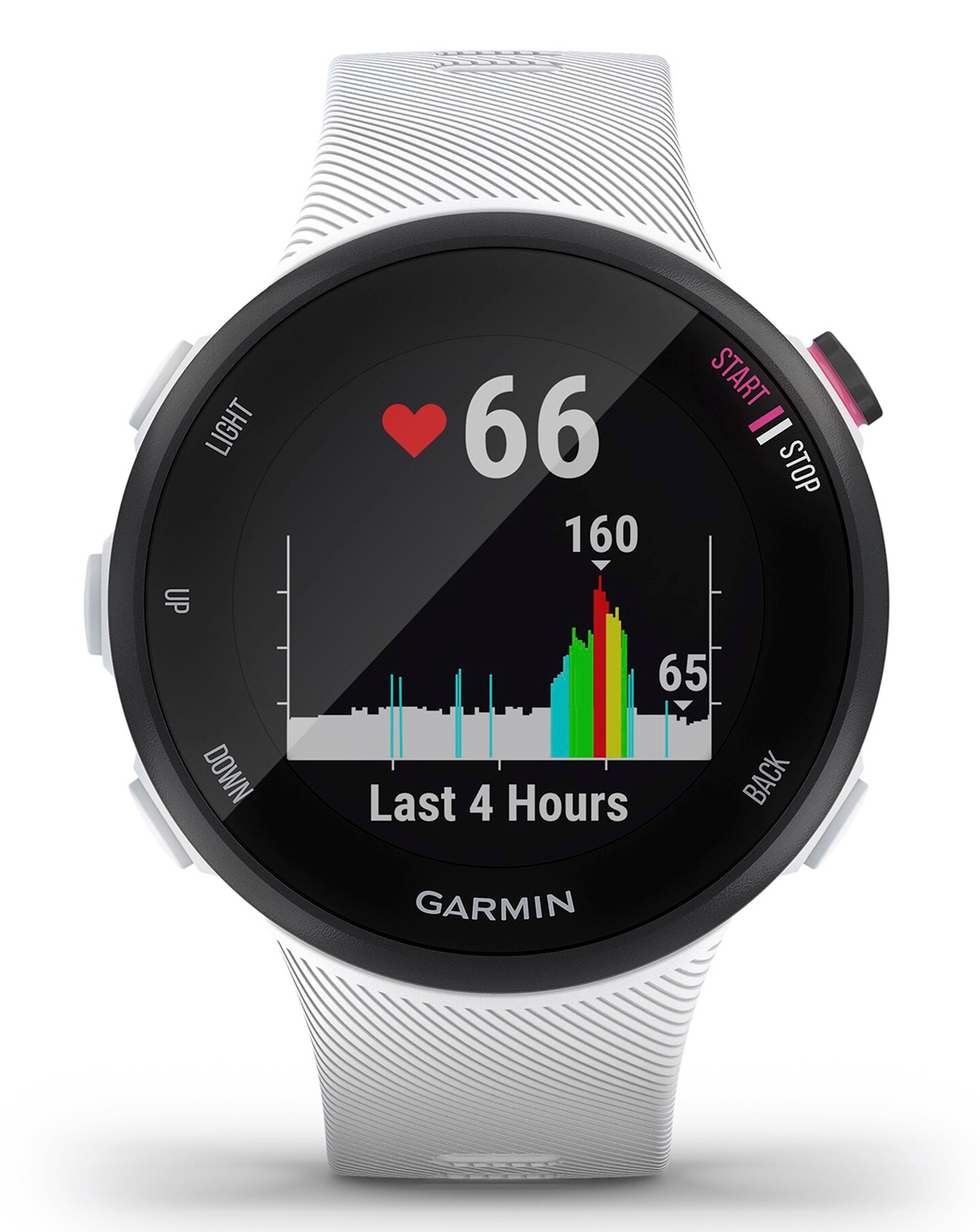 forerunner 45s white